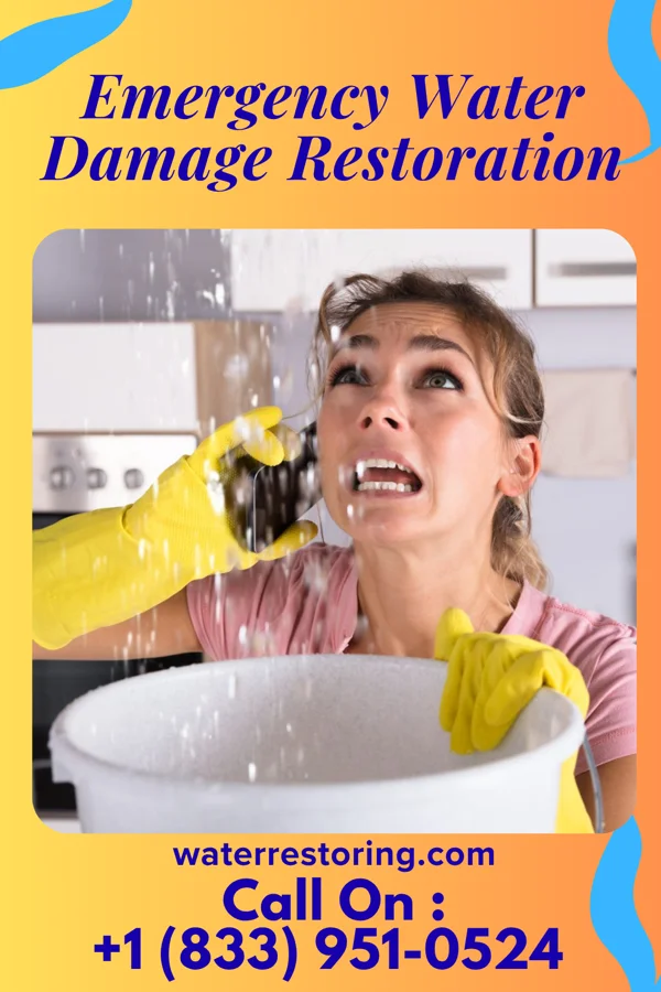 Emergency Water Damage Restoration in Sausal, NM