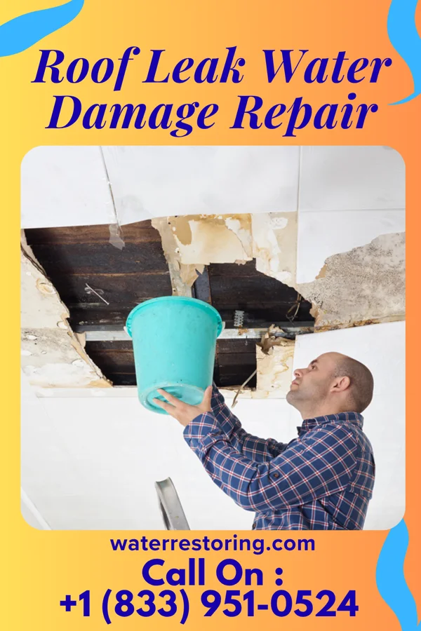 Roof Leak Water Damage Repair in Sausal, NM